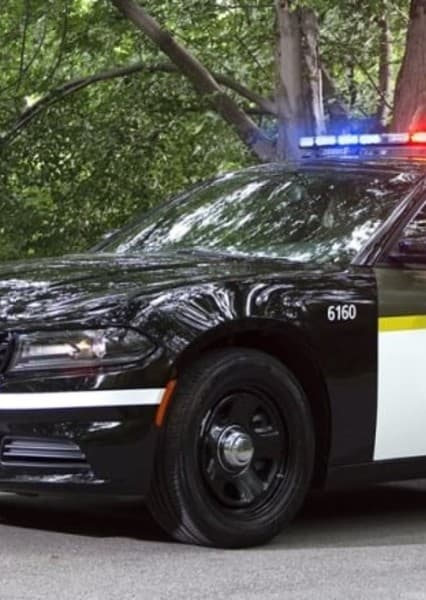 2018 Dodge Charger (Police Interceptor)
