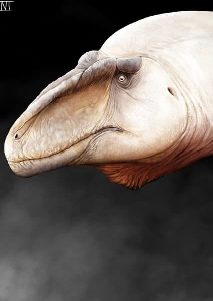 Acrocanthosaurus (DastardlyDilong)