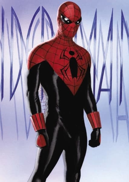 Alex Ross Spider-Man Suit