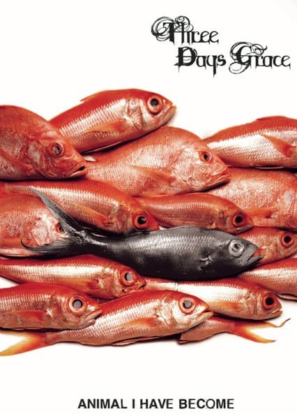 Animal i have become