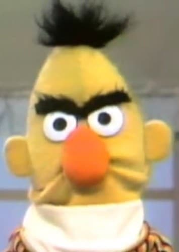 Bert