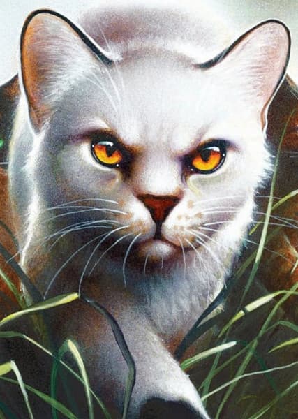 Blackstar (Warrior Cats)