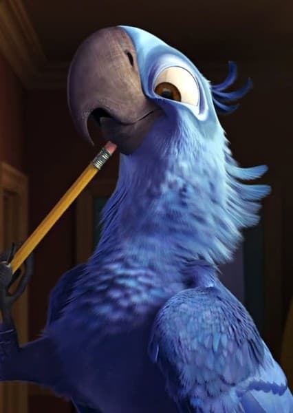 Blu the Macaw