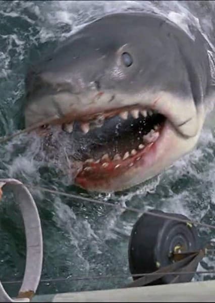 Bruce (Jaws)