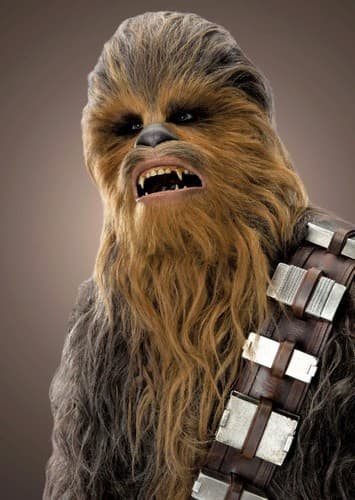 Chewbacca