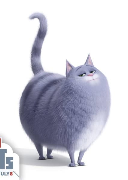 Chloe (The Secret Life of Pets)