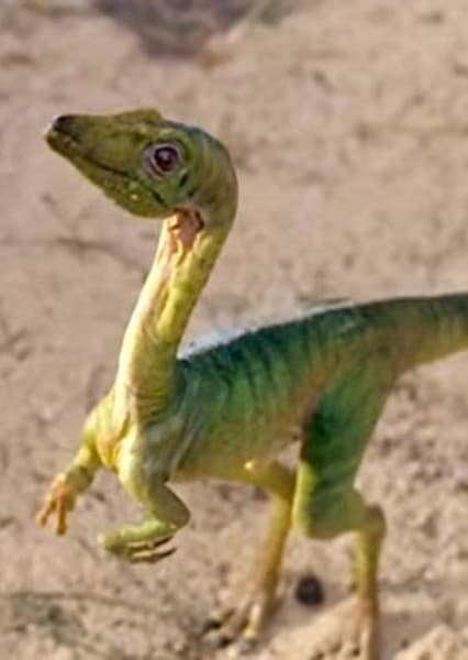 Compsognathus