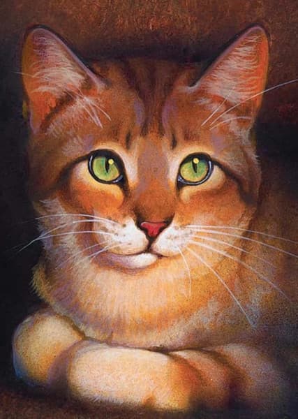 Crookedstar (Warrior Cats)