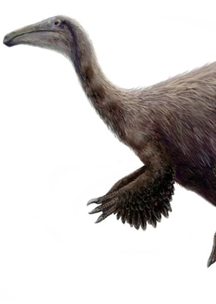 Deinocheirus