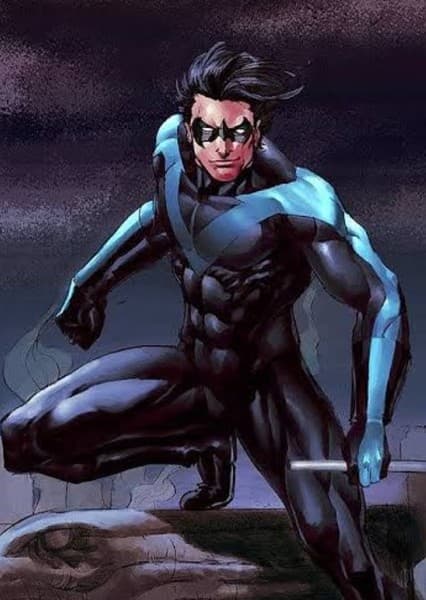 Dick Grayson (Robin/Nightwing)