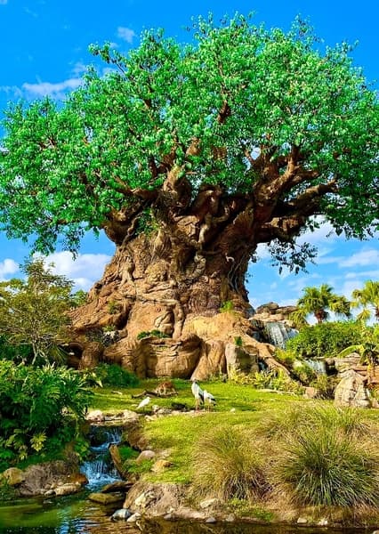 Disney's Animal Kingdom