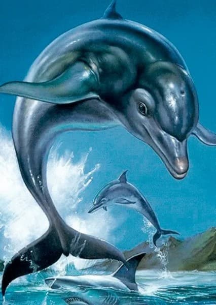 Echo The Dolphin