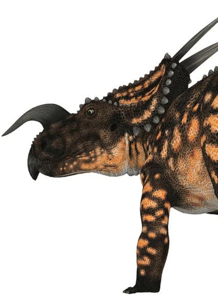 Einiosaurus