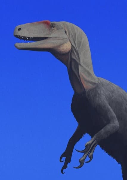 Eotyrannus