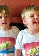 Fox and Dashiell Messitt