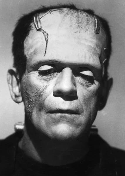 Frankenstein’s Monster