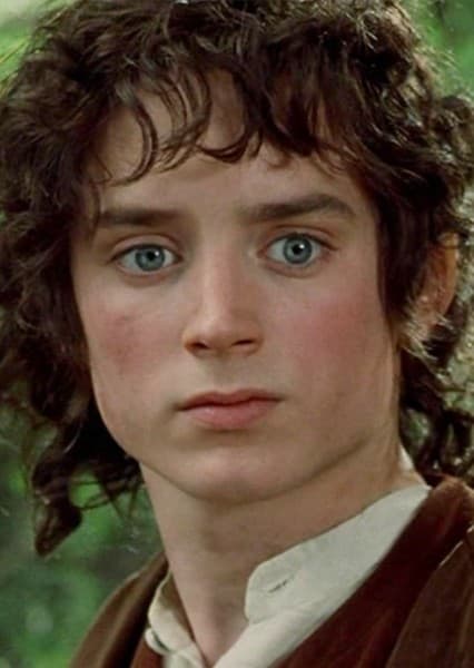 Frodo Baggins