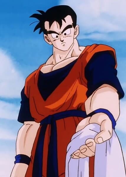 Future Gohan