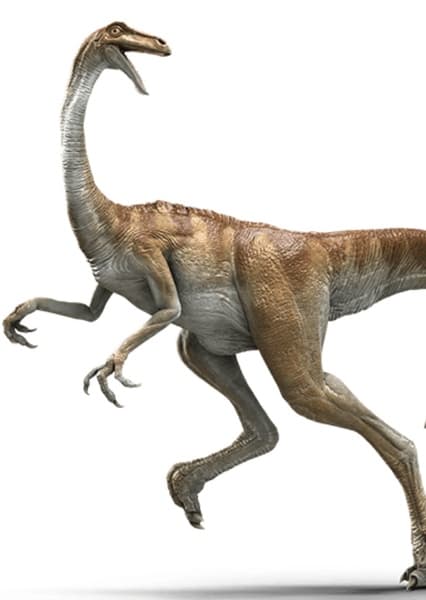 Gallimimus