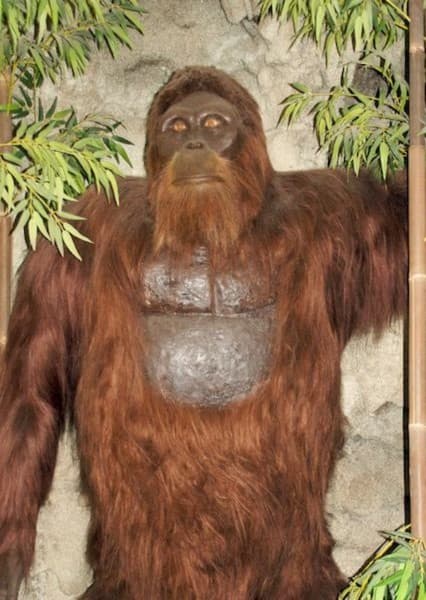 Gigantopithecus