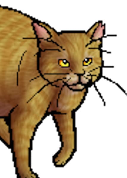 Goldenflower (Warrior Cats)