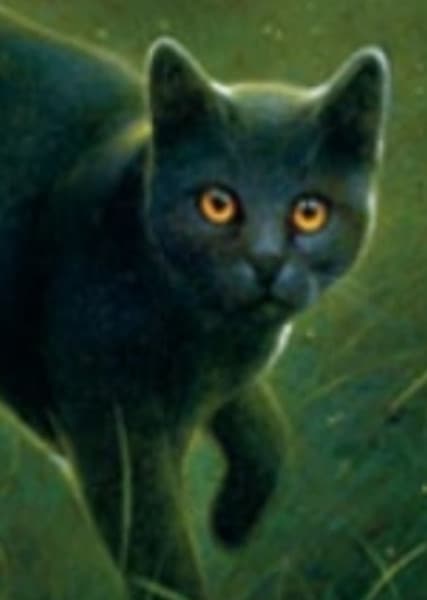 Gray Wing (Warrior Cats)