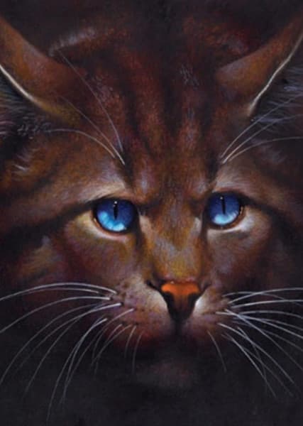 Hawkfrost (Warrior Cats)