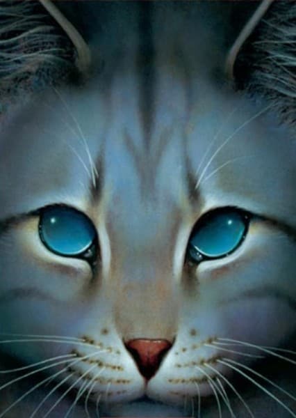 Jayfeather (Warrior Cats)