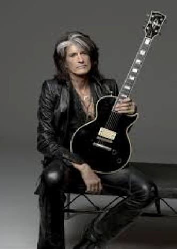 Joe Perry photo