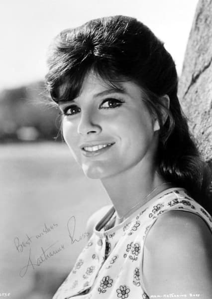 Katharine Ross