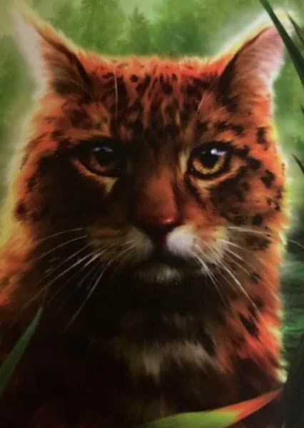 Leopardstar (Warrior Cats)