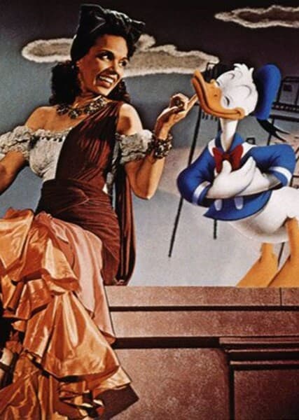 Live Action/Animation