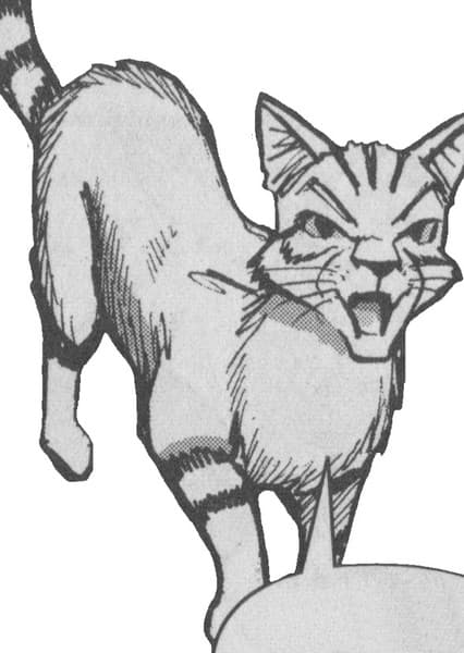 Longtail (Warrior Cats)