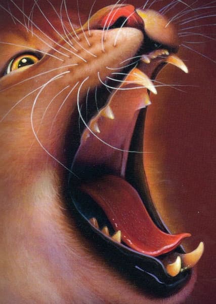 Mapleshade (Warrior Cats)