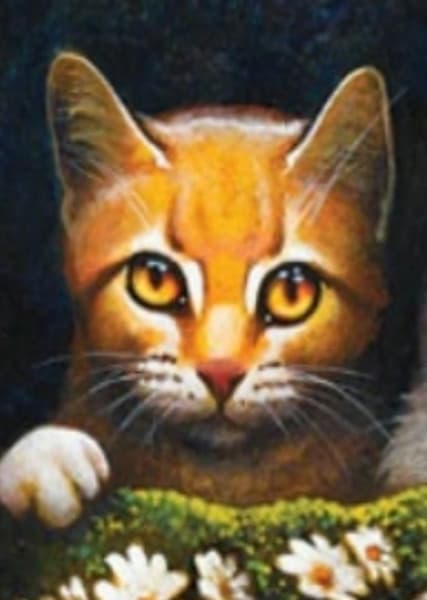 Mothwing (Warrior Cats)