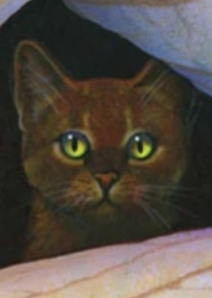 Mudclaw (Warrior Cats)