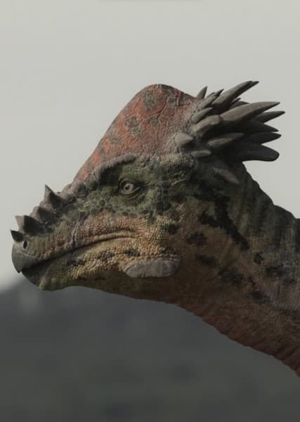 Pachycephalosaurus
