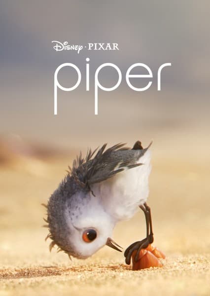 Piper