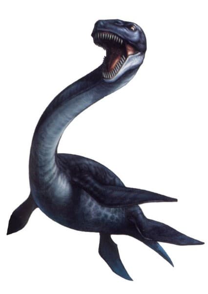 Plesiosaurus