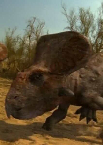 Protoceratops