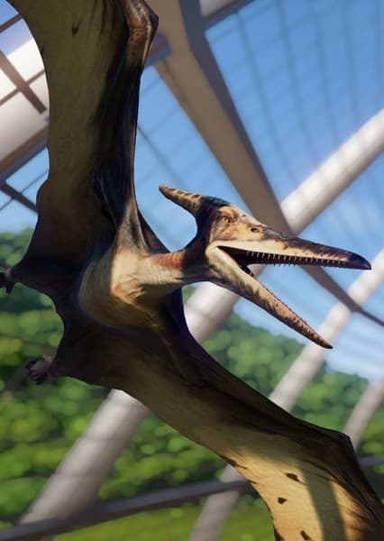 Pteranodon