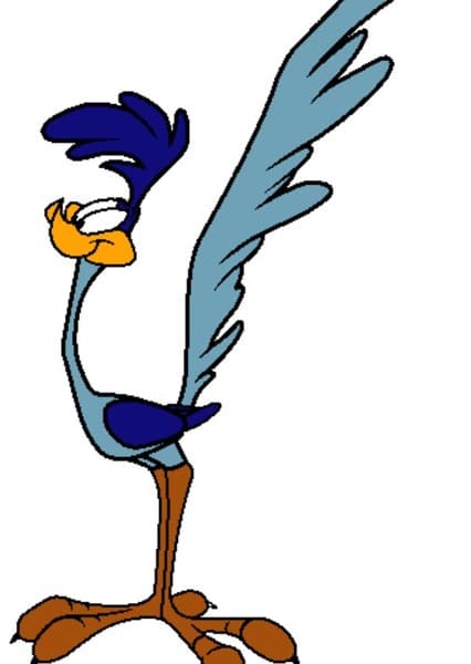 Road Runner