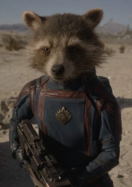 Rocket Raccoon