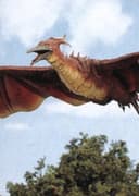 Rodan (Radon)