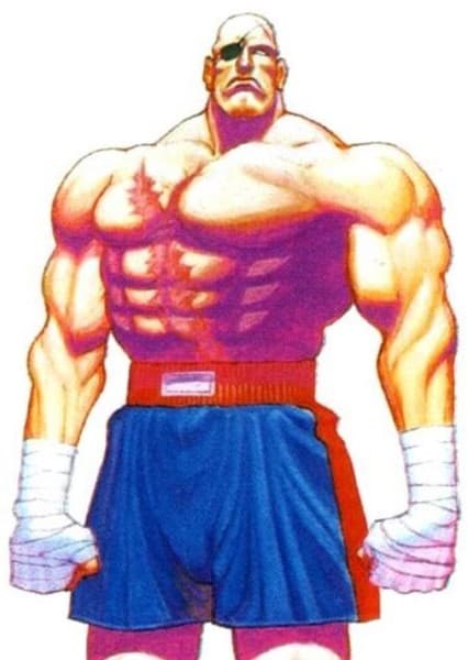 Sagat