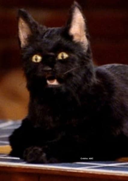Salem Saberhagen