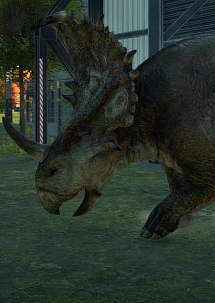 Sinoceratops