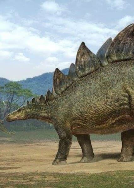 Stegosaurus