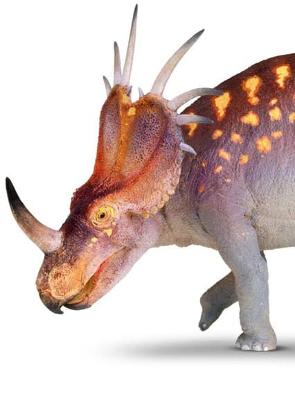 Styracosaurus