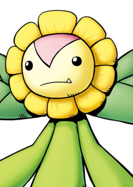 Sunflowmon